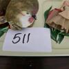 Pair of Ganz Bird Figurines With tray and Doll - 5
