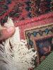 Handwoven Wool Runner Rug in Traditional Persian-Style Design - 9