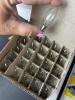 Small Replacement Clear Bulbs - 2
