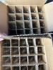 Small Replacement Clear Bulbs - 6