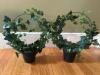 Five Artificial Potted Ivy Topiary Plants - 2