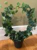 Five Artificial Potted Ivy Topiary Plants - 4