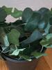 Five Artificial Potted Ivy Topiary Plants - 5