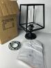 Black Metal Frame Light Fixture with Glass Insert