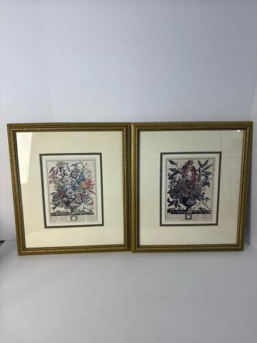 Pair of 16.5x14.5 Framed Floral Botanical Prints in Ornate Gold Frames