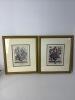 Pair of 16.5x14.5 Framed Floral Botanical Prints in Ornate Gold Frames