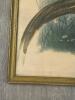 18.5"x23.5" Framed Golden Pheasant Natural History Print in Gilt Frame - 3