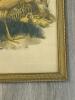 18.5"x23.5" Framed Golden Pheasant Natural History Print in Gilt Frame - 7