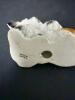Tiny Ceramic Dog Salt & Pepper Shaker with dogs figurine - 8