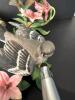 Five Lenox Fine Porcelain Bird and Flower Figurines, 1989 - 3