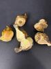 Set of Five Hand-Painted GEWI Bird Figurines - 4