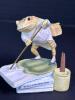 Beatrix Potter Mr. Jeremy Fisher Figurine by FW & Co. 1996