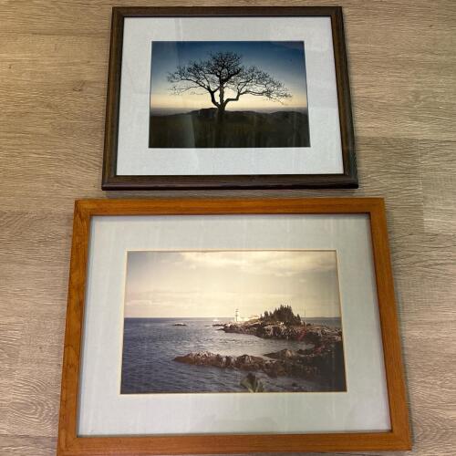 Framed Lighthouse & Tree Landscape Photographs, 13"x15" and 13"x17"