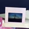 Framed Lighthouse & Tree Landscape Photographs, 13"x15" and 13"x17" - 4