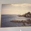 Framed Lighthouse & Tree Landscape Photographs, 13"x15" and 13"x17" - 9