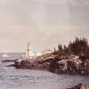 Framed Lighthouse & Tree Landscape Photographs, 13"x15" and 13"x17" - 11