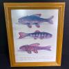 Framed Ice Fishing Lure Wall Art, 10"x12"