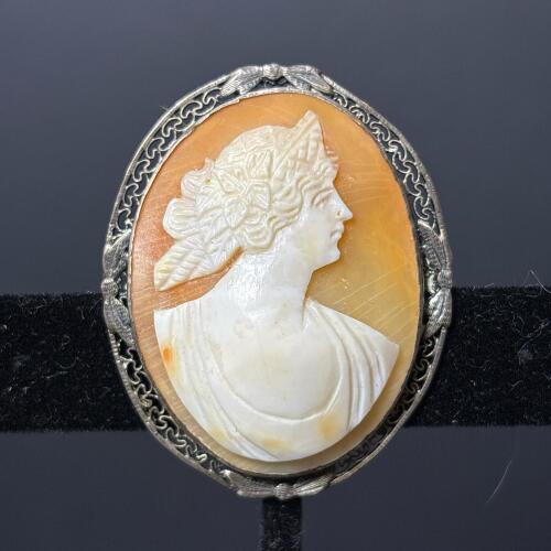 Vintage Cameo Brooch in Silver Toned Setting