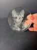 Sweden Crystal Cat Paperweight Signature Collection - 2