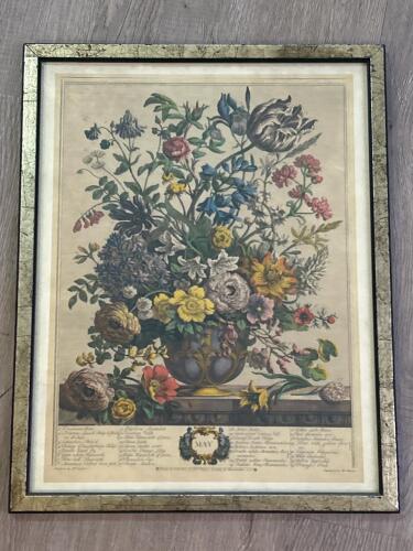 15&rdquo;x19&rdquo; Floral Engraving Print in the Manner of 18th Century Botanical Art