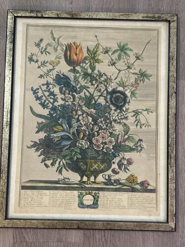 15&rdquo;x19&rdquo; Framed Floral Engraving in the Manner of 18th Century Botanical Prints