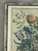 15&rdquo;x19&rdquo; Framed Floral Engraving in the Manner of 18th Century Botanical Prints - 2
