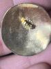 14K Yellow Gold Bangle with Gold Earrings with Engraved Motif - 4