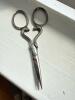 Royal Cutlery German Snake-Handled Embroidery Scissors