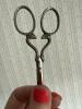 Royal Cutlery German Snake-Handled Embroidery Scissors - 5