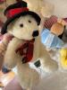 Plush Toys and Dolls Assortment Including Mary Meyer, Aurora, Dalmagic with Tote Bag - 12