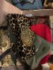 Large Lot of Clothing - 7