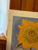 24"x26"Georgia O'Keeffe Sunflower Poster - 9