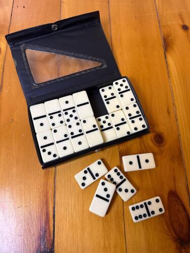 Double Six Dominoes Set in Vinyl Case