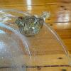Hand-Blown Glass Bowl With Applied Bird Decoration - 5