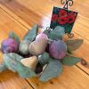 Mini Floral Painting on Easel with Faux Fruit Arrangement