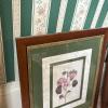 Trio of Framed Botanical Prints 13.25"x15.5" - 4