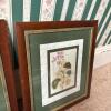 Trio of Framed Botanical Prints 13.25"x15.5" - 6