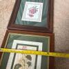 Trio of Framed Botanical Prints 13.25"x15.5" - 10