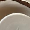 Set of Four Italian Floral Ceramic Plates - 6