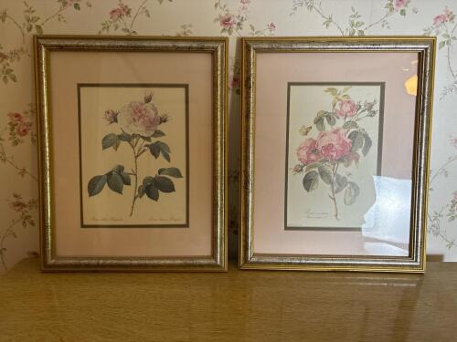Pair of 12x15 Framed Botanical Rose Lithographs in Gilt Frames