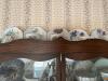 Wall-Mounted Curio Cabinet with Tea Cups - 5