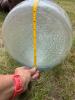 Large Clear Glass Carboy Demijohn Bottle - 4