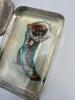 Glass Paperweights with Anthropomorphic Animal Illustrations - 2