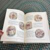 Storybook Treasury of Dick and Jane and Peter Rabbit Giant Treasury - 12