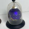 Pair of Glass Display Domes with Wood Bases and Ornament - 4