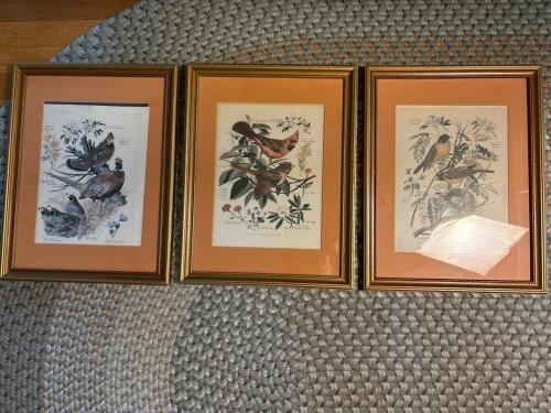 17x13 Framed Bird Prints in the Manner of Arthur Singer