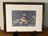 17x13 Framed John C. Gill Nature Photography Print
