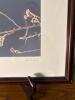 17x13 Framed John C. Gill Nature Photography Print - 2