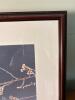 17x13 Framed John C. Gill Nature Photography Print - 5