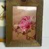 Framed Floral Prints and Pressed Flower Art Assortment - 4